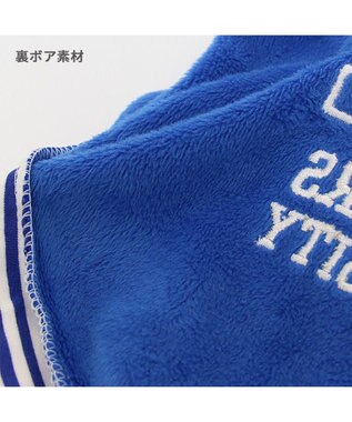 PET PARADISE ディズニー なりきり スタジャン 《サリー》 小型犬 青