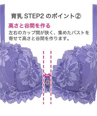 BRADELIS New York 【BRADELIS New York】ベルステップ２ブラ23S1 高さを出してシャープなバストをつくる育乳補整ブラ ヴァイオレット