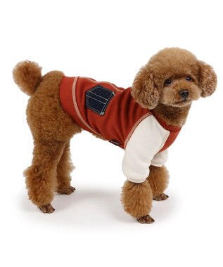 PET PARADISE ペットパラダイス プレミアムペティヒート  ステッチTシャツ 《橙》 超小型犬 小型犬 橙