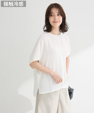 Green Parks Ｔブラウスドルマンスリーブプルオーバー Ecru