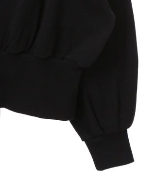 Green Parks バックＺＩＰスウェット Black