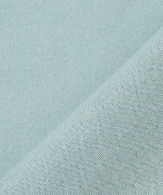 J.PRESS LADIES 【WEB限定カラーあり】ニードルパンチ カットソー 【WEB限定】ミント系