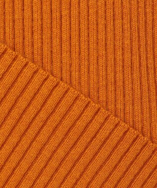 J.PRESS YORK STREET 【WOMEN】ANTI PILLING WOOL リブタートルニット オレンジ系