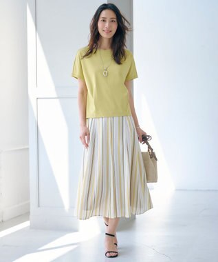 J.PRESS LADIES S 【WEB限定カラーあり・洗える】コットンスムース フレンチスリーブ カットソー ピスタチオ系