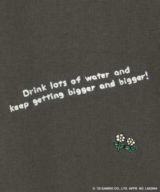 ANY 【ハローキティ×ANY】ロゴTシャツ チャコール刺繍