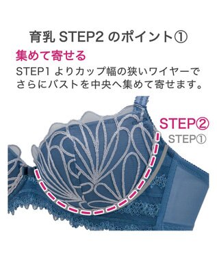 BRADELIS New York 【BRADELIS New York / 育乳補整ブラ・STEP2 寄せる】ローズステップ2ブラ24S1 脇高設計でスッキリ補正 ブルー