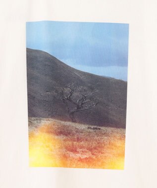 SHARE PARK LADIES 【UVカット・吸水速乾・ストレッチ・軽量 】フォトプリントTシャツ（S・Mサイズ） ホワイト系