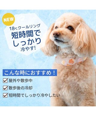 PET PARADISE ペットパラダイス １８℃ クールリング ３Ｓ 《アイス柄》 ピンク