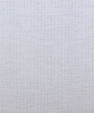 ビーズクッション tetra 高耐久性でペットも安心 tetra LEON（レオン）ビーズクッション アイボリー