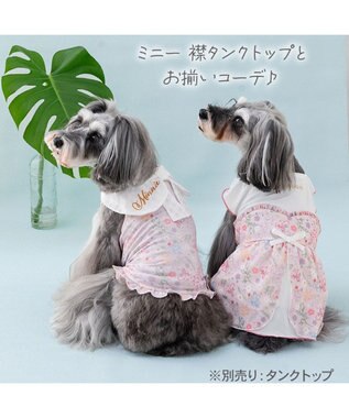 PET PARADISE ディズニー ミニーマウス エコメイド シアー ワンピース  小型犬 ピンク