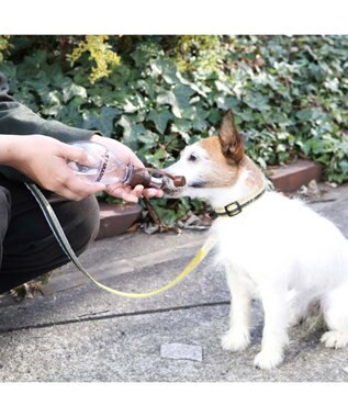 PET PARADISE 犬用品 ペットグッズ お散歩  お水携帯ボトル（茶）220ｍＬ 茶系