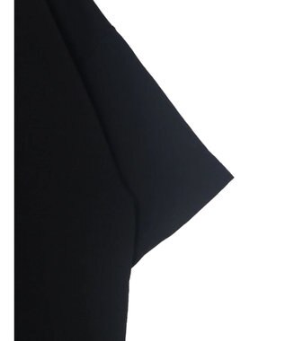 Green Parks Ｄｉｓｎｅｙ１００　ライオンキング／Ｔシャツ Black