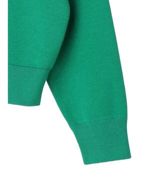 AMERICAN HOLIC サガラ刺繍ミラノリブニットプルオーバー Green