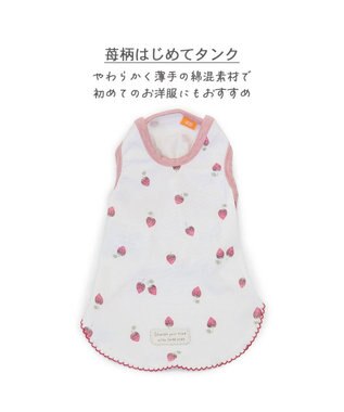 PET PARADISE ペットパラダイス はじめて タンクトップ 《いちご》 中型犬 大型犬 ホワイト