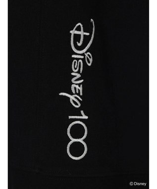 Green Parks Ｄｉｓｎｅｙ１００　ライオンキング／Ｔシャツ Black