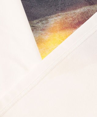 SHARE PARK LADIES 【UVカット・吸水速乾・ストレッチ・軽量 】フォトプリントTシャツ（S・Mサイズ） ホワイト系