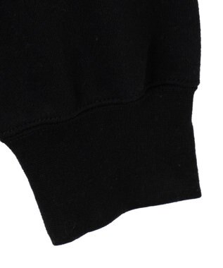 WEGO 【ユニセックス着用ITEM/裏起毛】別注BENDAVISワンポイントプルオーバー ブラック