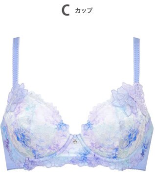 Wing ブラジャー Wing Lesiage サイドすっきり しっかりフィット 【2900シリーズ】 ブラ PB2900 ウイング／ワコール ブルー