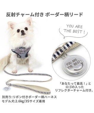 PET PARADISE 犬 リード 【ＳＳ~Ｓ】 ボーダー 紺（ネイビー・インディゴ）