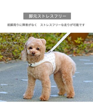 PET PARADISE ペットパラダイス くま なりきり ハーネス 《 チェック柄 》 ３Ｓ チェック柄