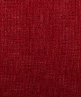 ビーズクッション tetra 高耐久性でペットも安心 tetra LEON（レオン）ビーズクッション チェリーレッド