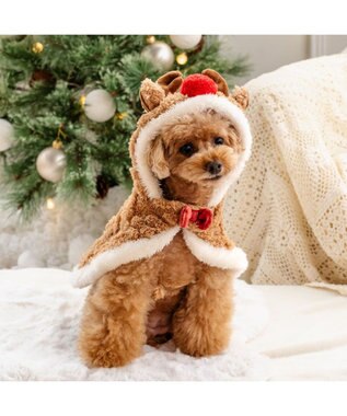 PET PARADISE ペットパラダイス トナカイ ポンチョ 2025 小型犬 ライトブラウン