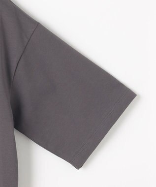 ANY L オーガビッツ刺繍ロゴＴシャツ チャコール