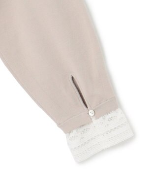 23区 S 【洗える】ヴィスコースストレッチ レースコンビ ニット ベージュ系