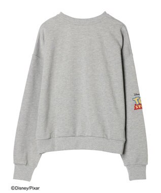 Green Parks ＴＯＹ　ＳＴＯＲＹ／クロスステッチスウェット A