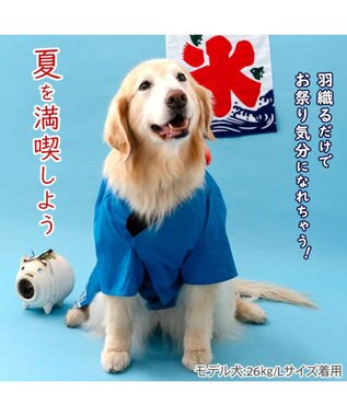 PET PARADISE ペットパラダイス お祭り法被 《金魚》 中型犬 大型犬 ブルー