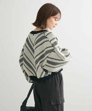 Green Parks ・ＥＬＥＮＣＡＲＥ　ＤＵＥ　ジャカードカーディガン Off White