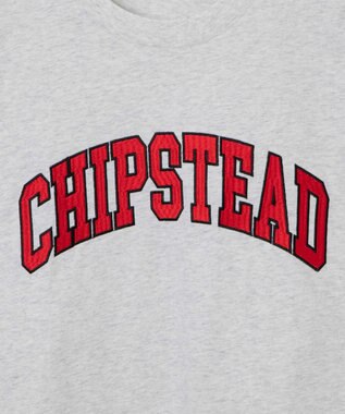 WEGO カレッジロゴBIGT（S） ライトグレー