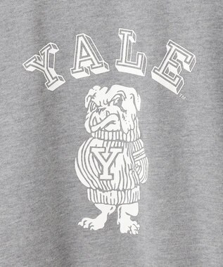 J.PRESS YORK STREET 【UNISEX】YALEブルドック裏毛スウェット ライトグレー系
