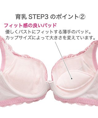 BRADELIS New York 【BRADELIS New York / 育乳STEP3 持ち上げる】ヴィオラステップ３ブラ23S1   美しいデコルテを作るブラ モーヴピンク