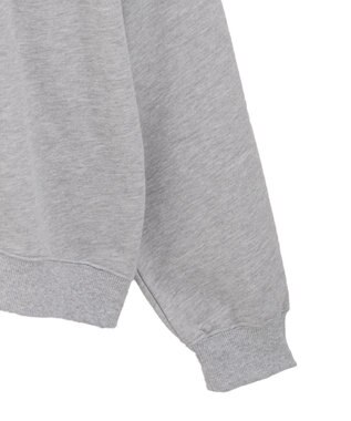 Green Parks ■PEANUTS スヌーピーミニ刺繍スウェット Gray