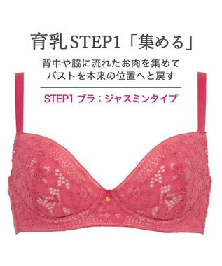 BRADELIS New York 【BRADELIS New York / 育乳補整ブラ・STEP1 集める】ジャスミンステップ1ブラ26S1 チェリー
