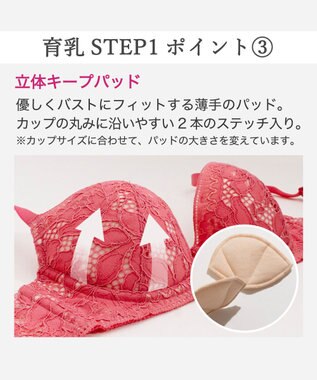 BRADELIS New York 【BRADELIS New York / 育乳補整ブラ・STEP1 集める】ジャスミンステップ1ブラ26S1 チェリー