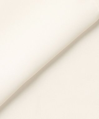 J.PRESS LADIES ドライシフォン カットソー ホワイト系