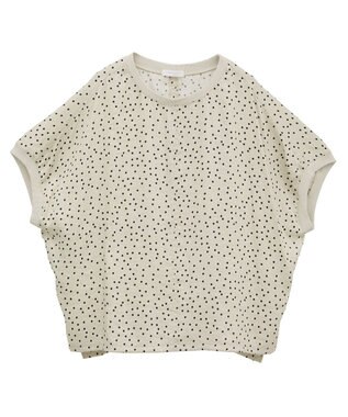 Green Parks Ｔブラウスドルマンスリーブプルオーバー Beige