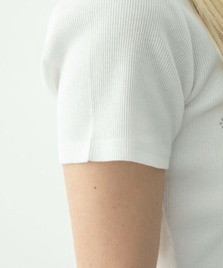 WEGO グラフィックリブT 柄1