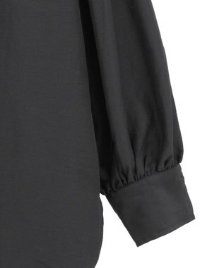 Green Parks ｅａｓｅ　ｂｌｕｅ．バックシャーリングブラウス Black