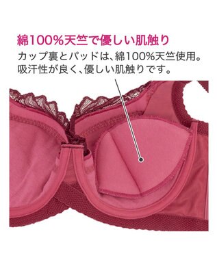 BRADELIS New York 【BRADELIS New York】サポートバックラインブラ23A1 グラマーバストをスッキリさせる補正ブラ ボルドー