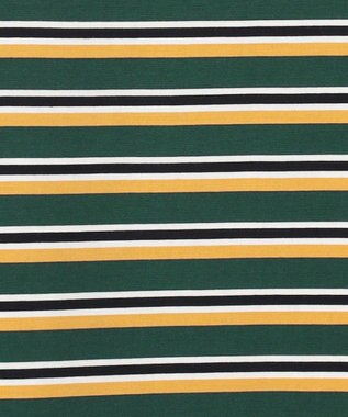 J.PRESS YORK STREET 【WOMEN】ロングスリーブ ボーダー バスクシャツ ダークグリーン系2