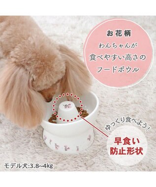 PET PARADISE ペットパラダイス 早食い防止 高さのある フードボウル 《お花 》 お花