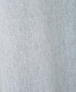 AMERICAN HOLIC Ｌｉｂｅｒｔｙ　Ｐａｒｋ刺繍スウェット2 Light Gray Mixture