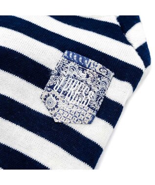 PET PARADISE J.PRESS ボーダー綿ニット 小型犬 ホワイト×ネイビー