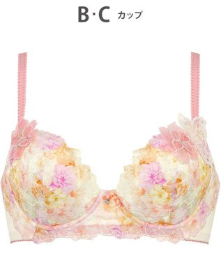 Wing ブラジャー Wing Lesiage サイドすっきり しっかりフィット 【2900シリーズ】 ブラ PB2900 ウイング／ワコール