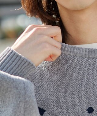 WEGO 【ユニセックス着用ITEM】ベロアモールグラフィックプルオーバー グレー