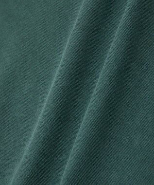 Green Parks ・ＤＯＵＢＬＥ　ＦＬＡＧＳ　ピグメント切替ノースリ Green