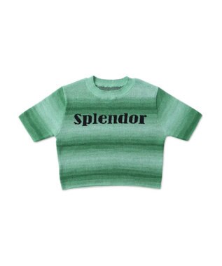 WEGO グラデーションちびニットT グリーン